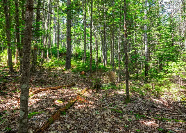 $849,500 | Lot 3 Belle Grande Drive, Bar Harbor, ME 04609