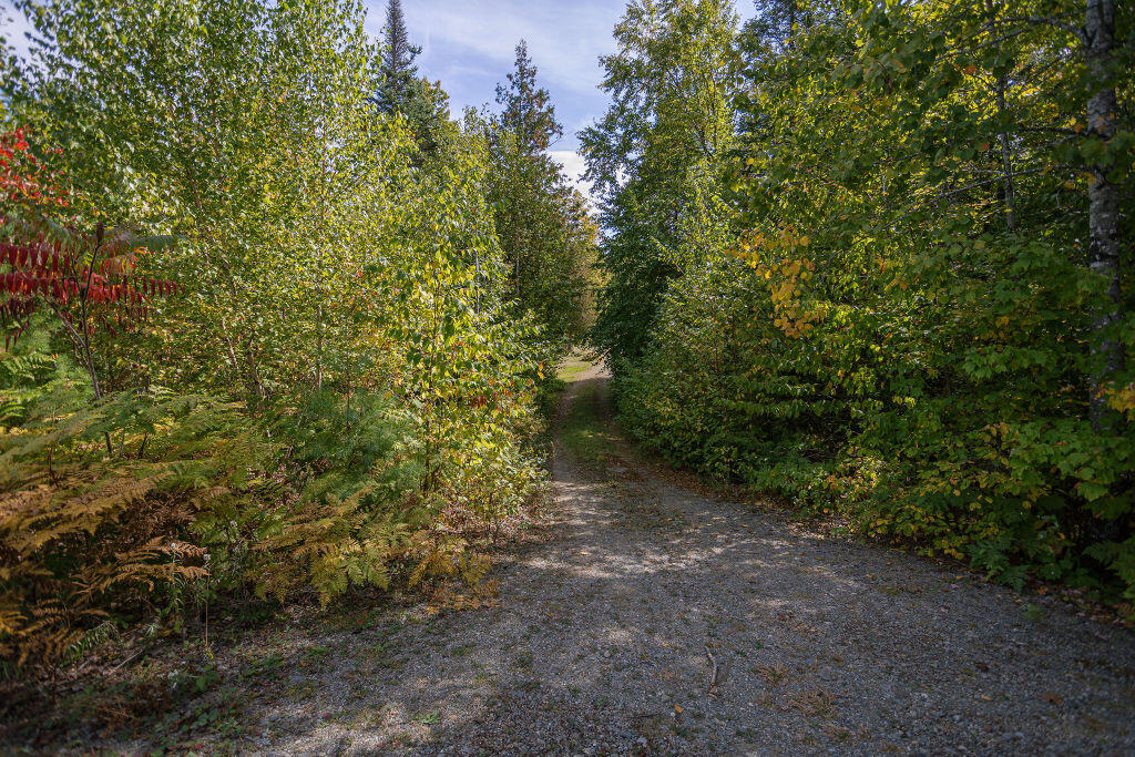182 Airport Road Phillips, ME 04966 - Photo 34 of 49 taylor-kaminsky-photo-40