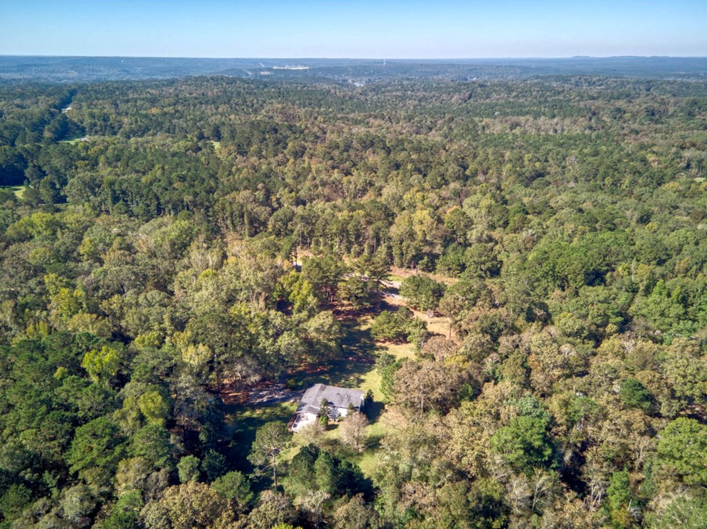 4726 Old River Road Fortson, GA 31808 - Photo 47 of 50 Gallery Image 47