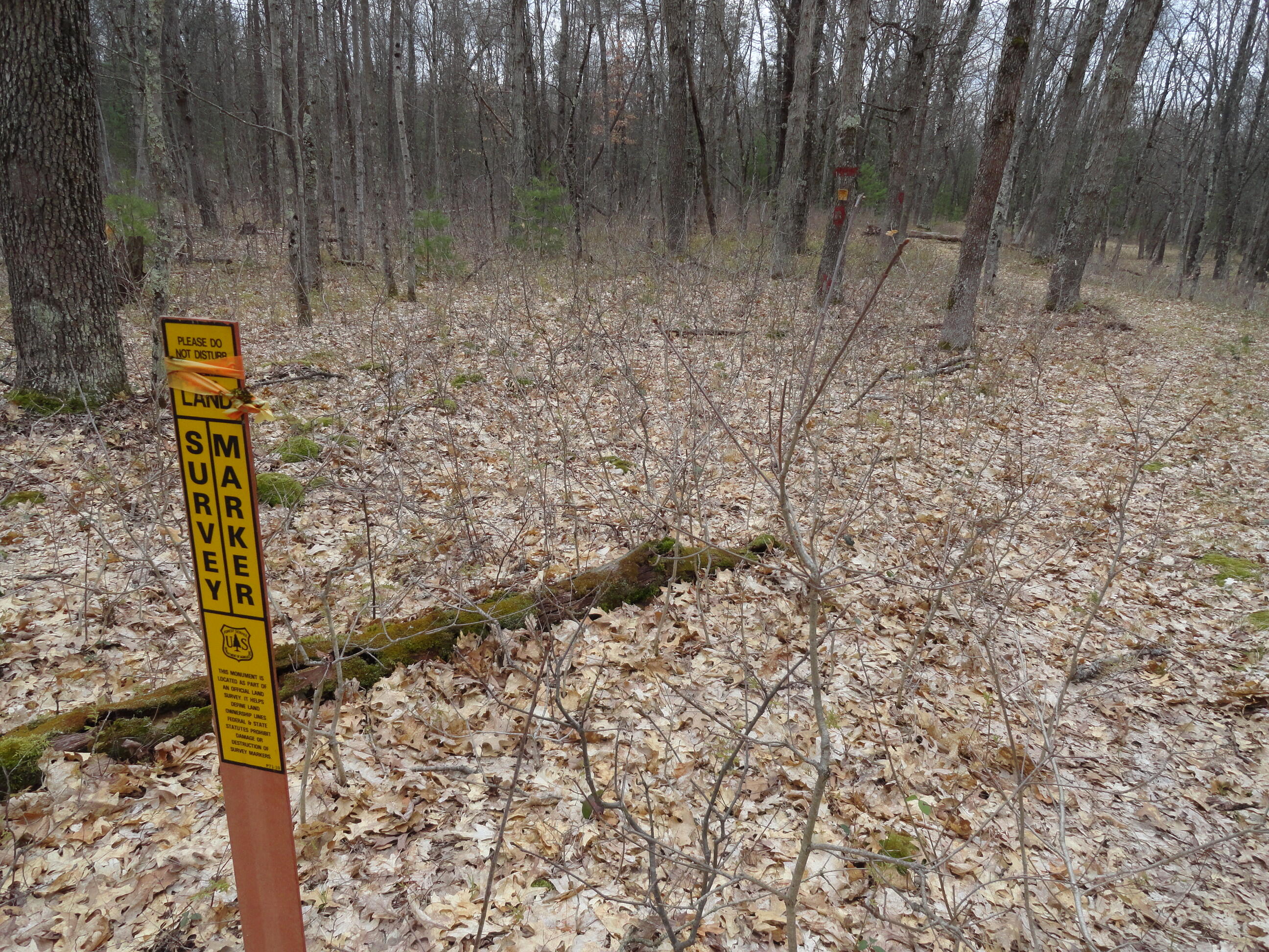 1035 Udell Hills Fire Tower Road Manistee, MI 49660 - Photo 12 of 14 d859d21b-4a4c-45d3-9282-3747567a490a