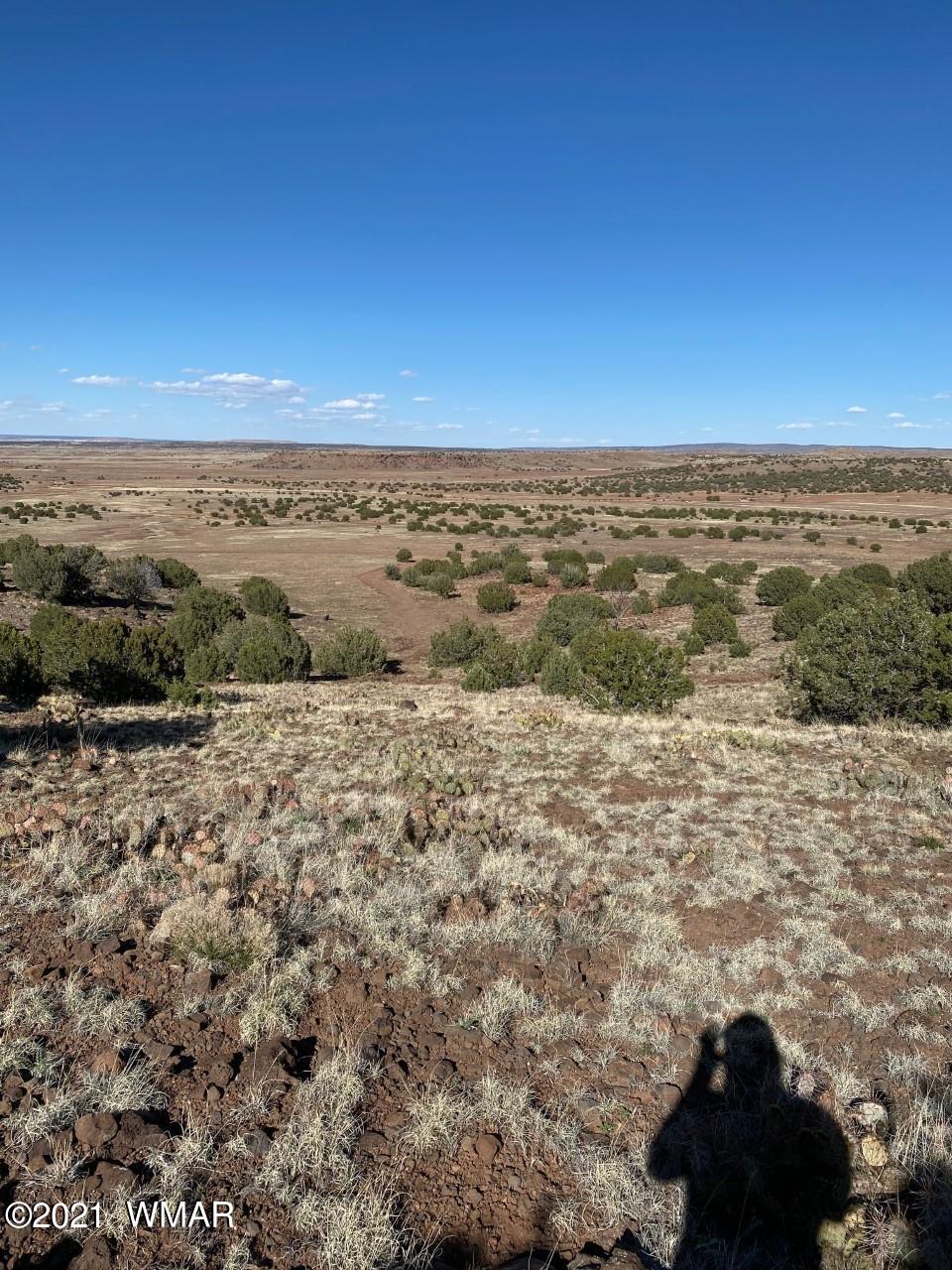 0 North None Road Concho, AZ 85924 - Photo 4 of 19