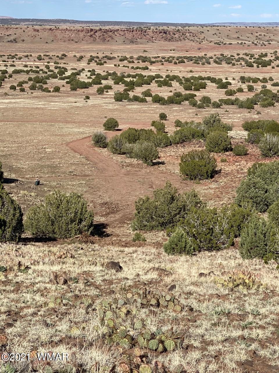 0 North None Road Concho, AZ 85924 - Photo 5 of 19