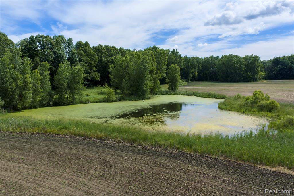 10069 Silver Lake Road Linden, MI 48451 - Photo 10 of 28