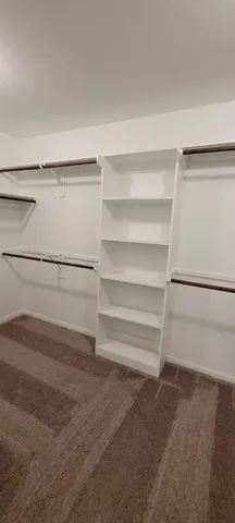 a view of an empty walk in closet