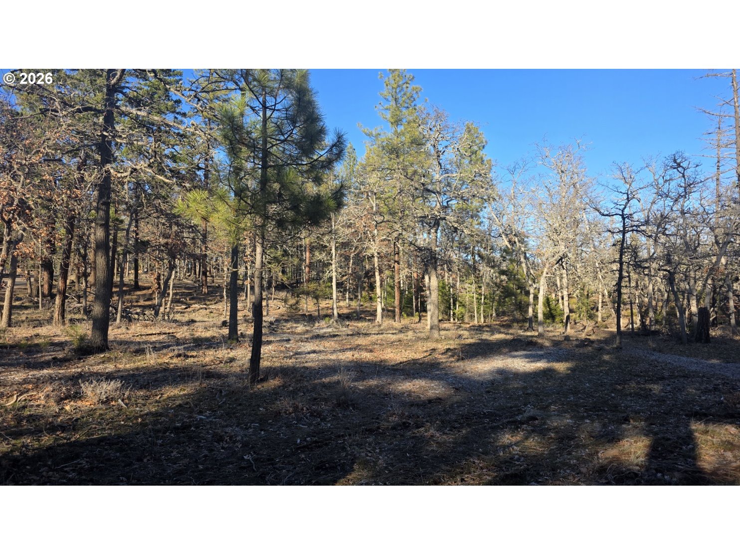 119 Lot Goldendale, WA 98620 - Photo 11 of 23