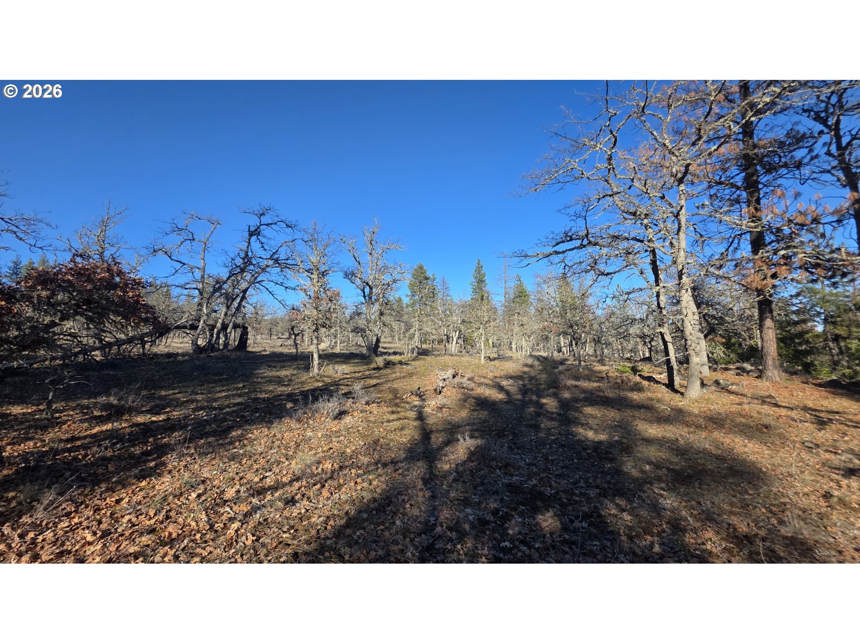 119 Lot Goldendale, WA 98620 - Photo 15 of 23