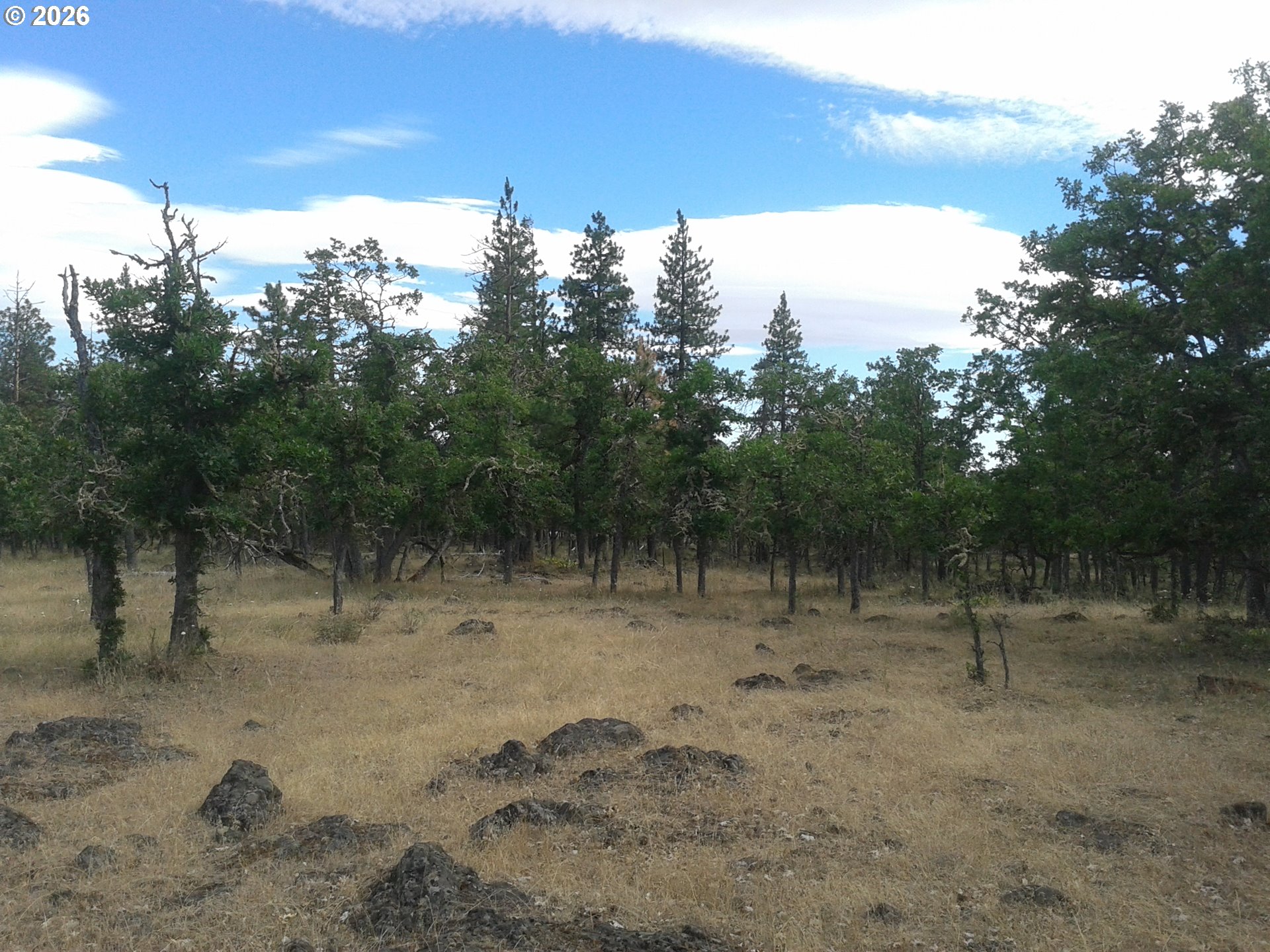 119 Lot Goldendale, WA 98620 - Photo 16 of 23