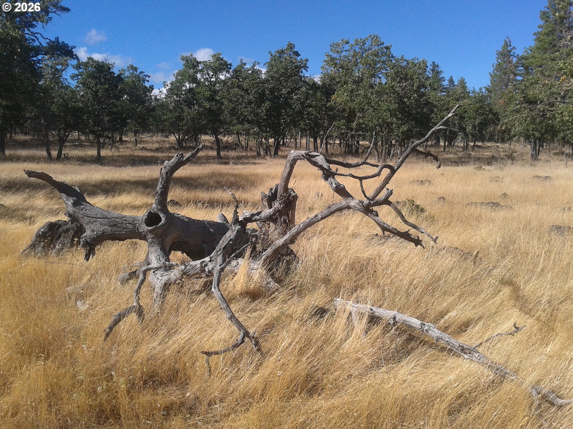119 Lot Goldendale, WA 98620 - Photo 17 of 23