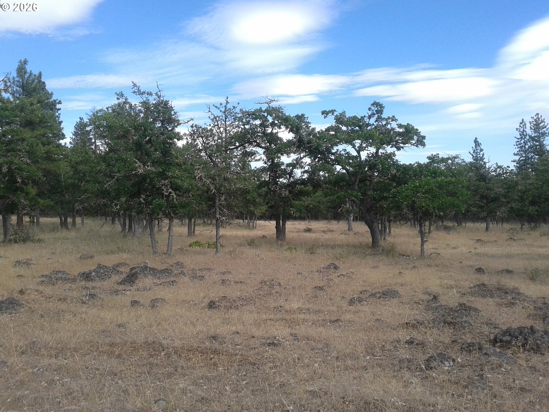 119 Lot Goldendale, WA 98620 - Photo 19 of 23