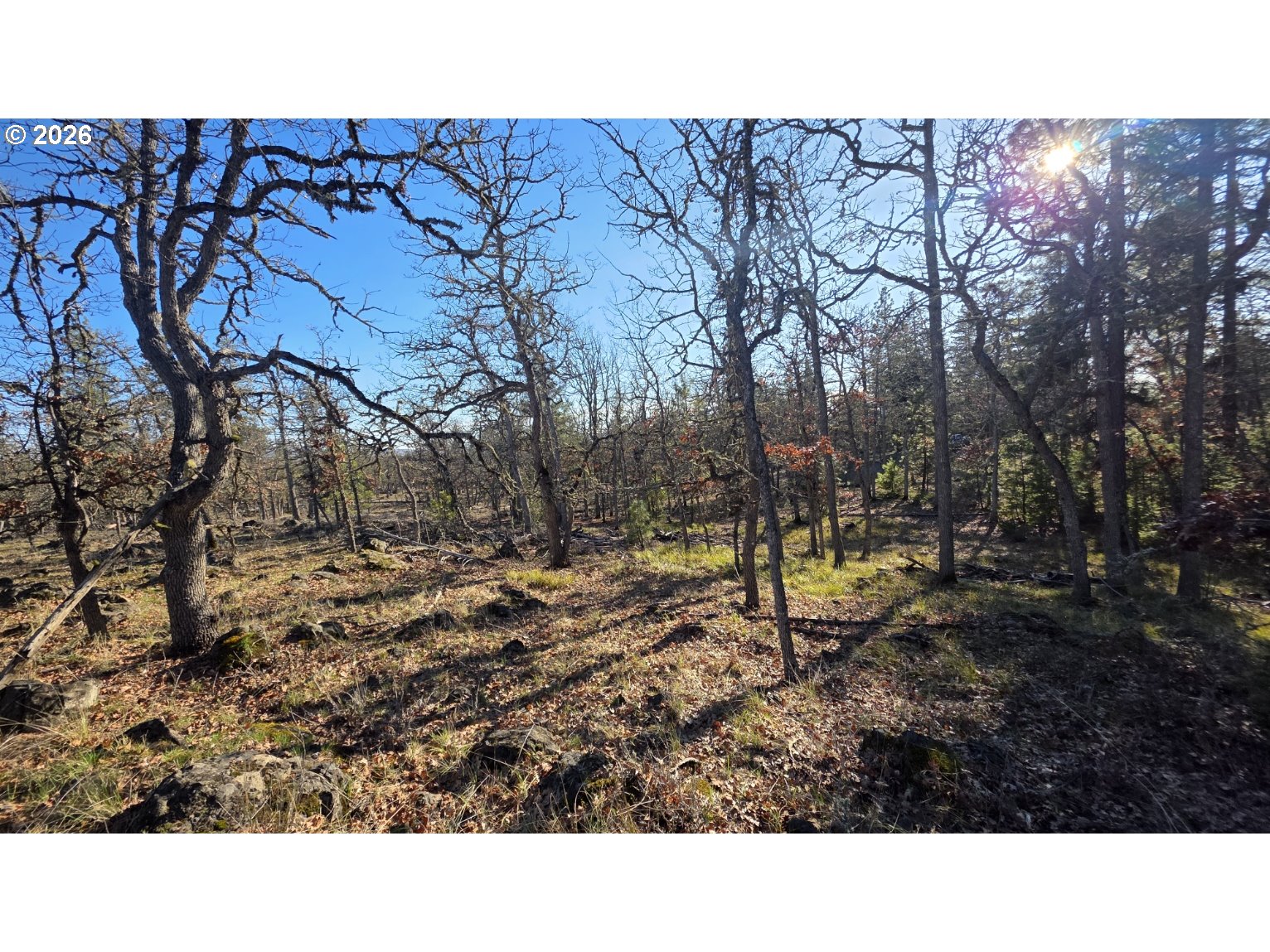 119 Lot Goldendale, WA 98620 - Photo 4 of 23