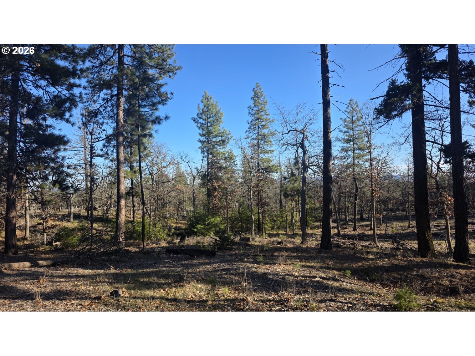 119 Lot Goldendale, WA 98620 - Photo 5 of 23