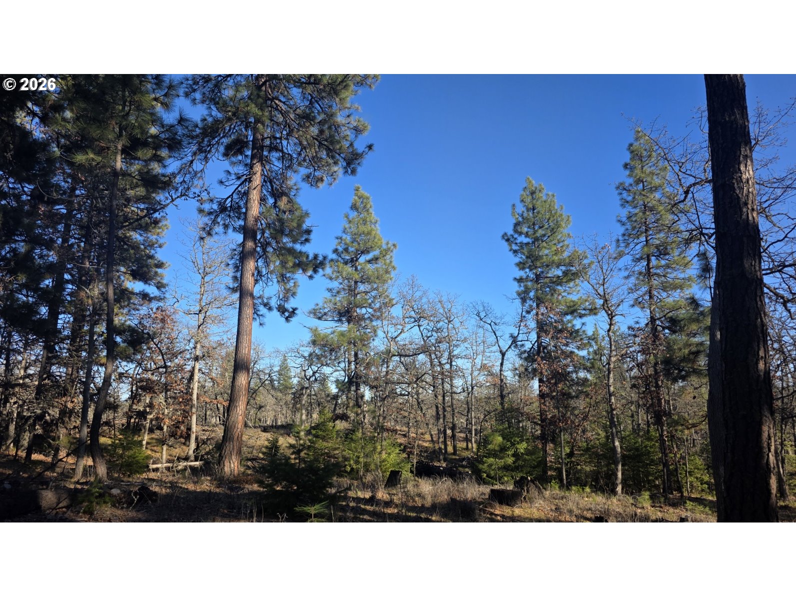 119 Lot Goldendale, WA 98620 - Photo 6 of 23