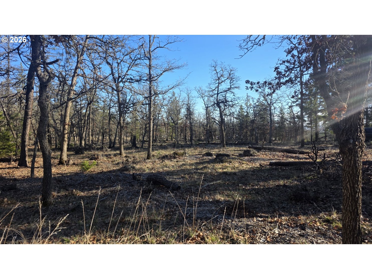 119 Lot Goldendale, WA 98620 - Photo 7 of 23