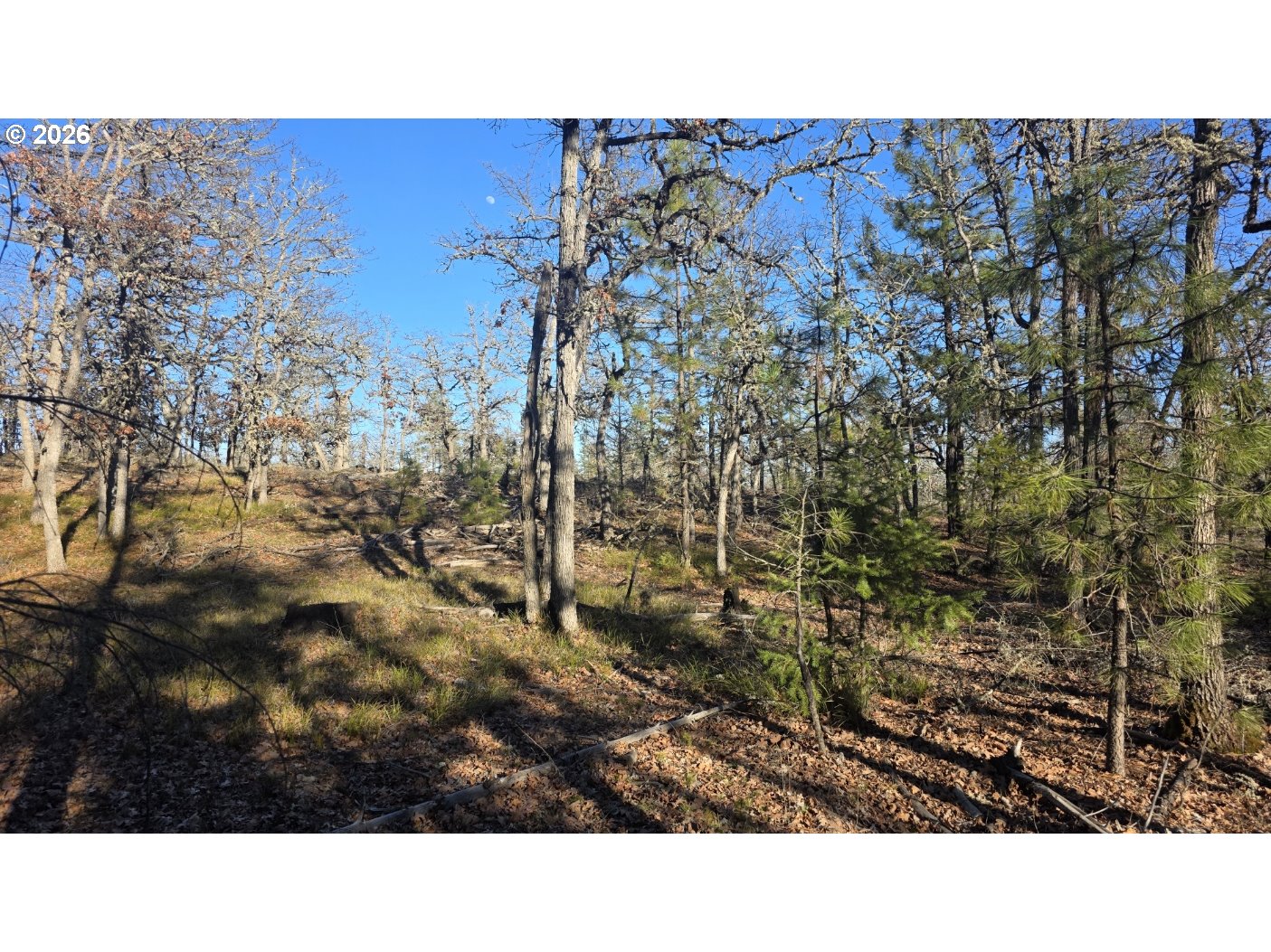 119 Lot Goldendale, WA 98620 - Photo 8 of 23