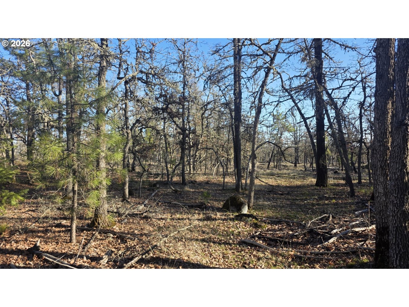 119 Lot Goldendale, WA 98620 - Photo 9 of 23