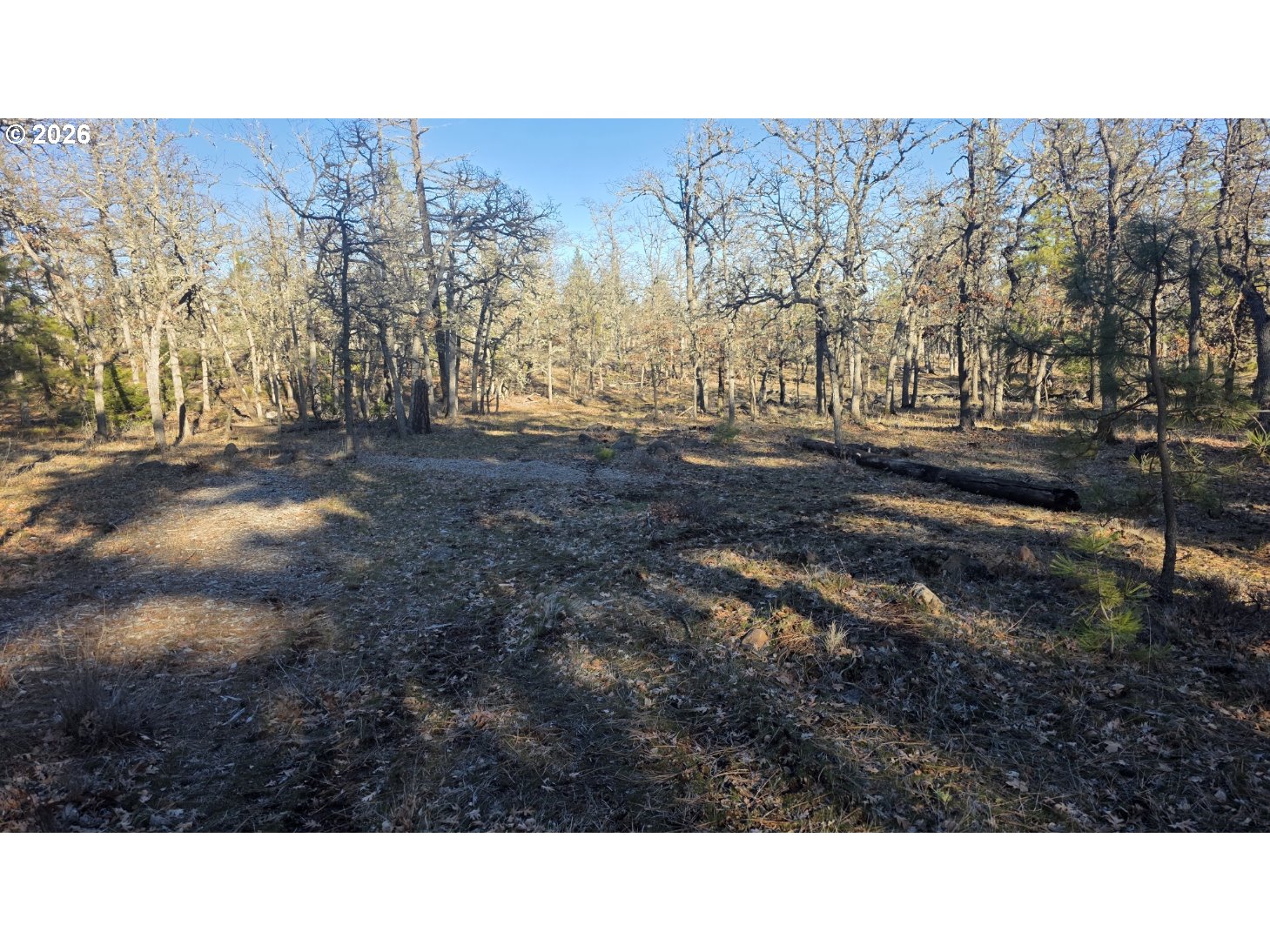 119 Lot Goldendale, WA 98620 - Photo 10 of 23