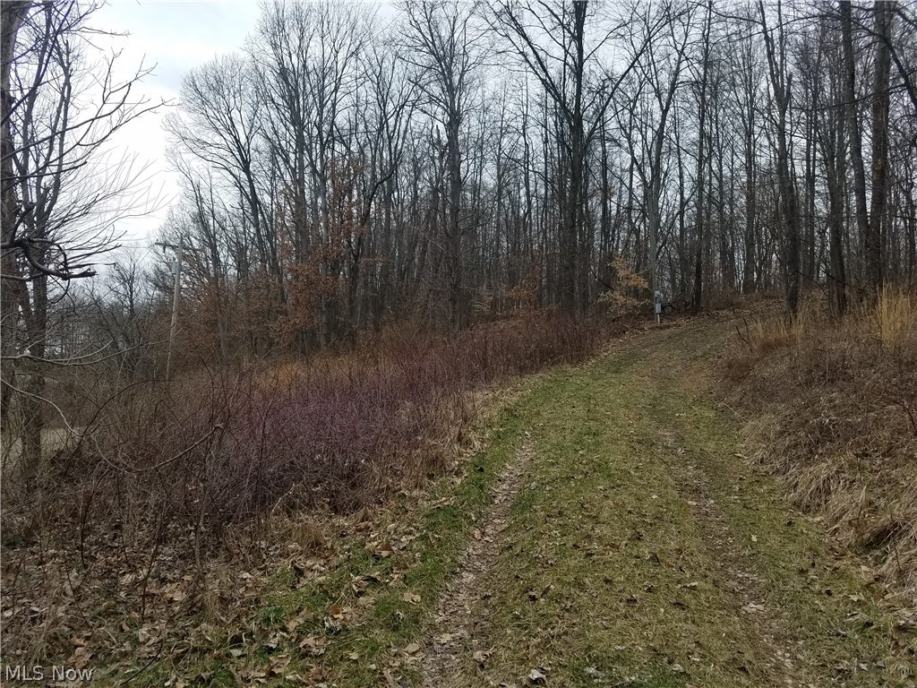 Twin Sisters Road Cambridge, OH 43725 - Photo 2 of 14 Gallery Image 2