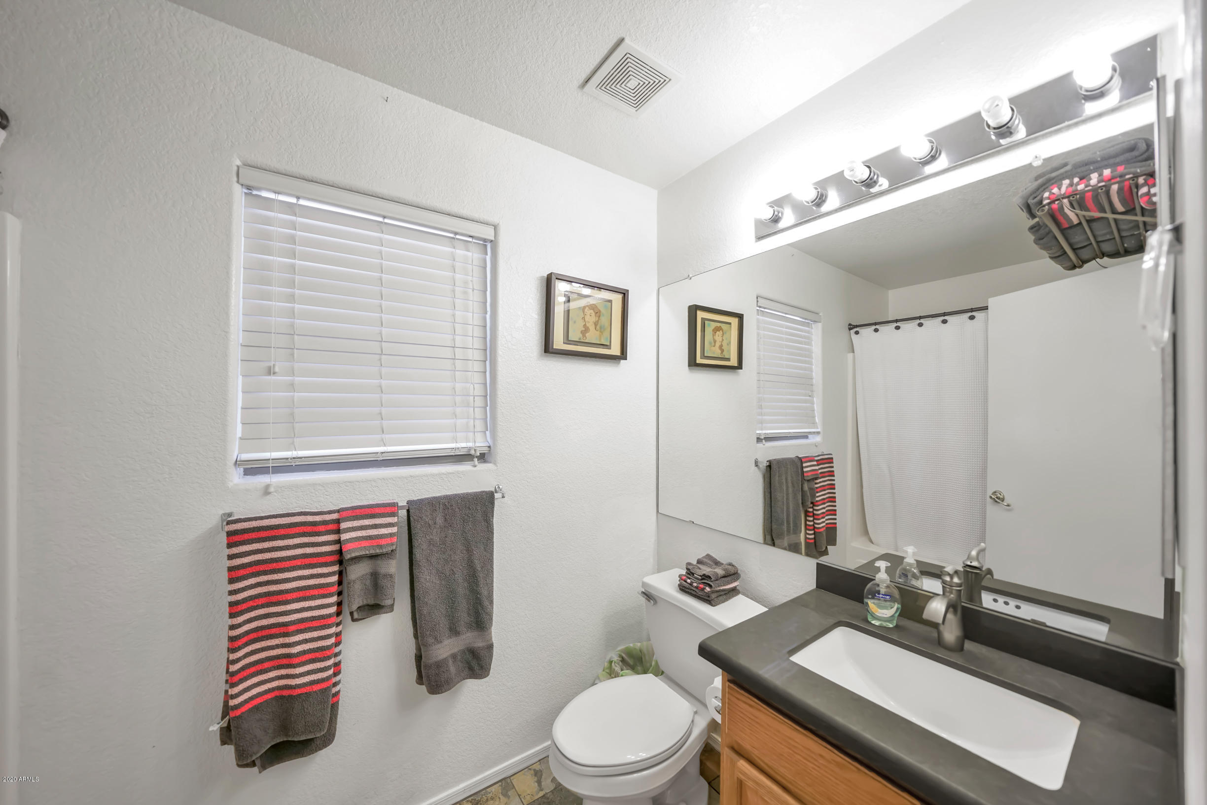 13343 West Boca Raton Road Surprise, AZ 85379 - Photo 19 of 27 DSC03474