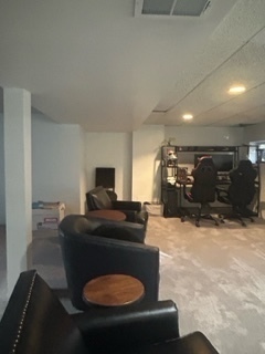 634 Spring Road Elmhurst, IL 60126 - Photo 9 of 15 a living room with furniture and a flat screen tv