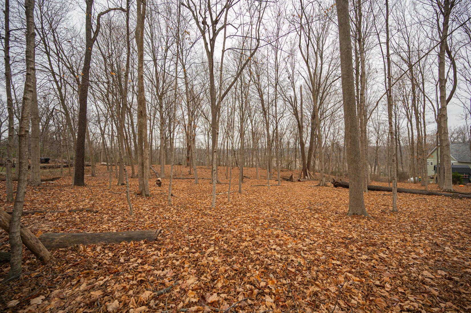 11466 Edwards Road Johnstown, OH 43031 - Photo 47 of 84 11466 Edwards Rd Johnstown Ohio-42