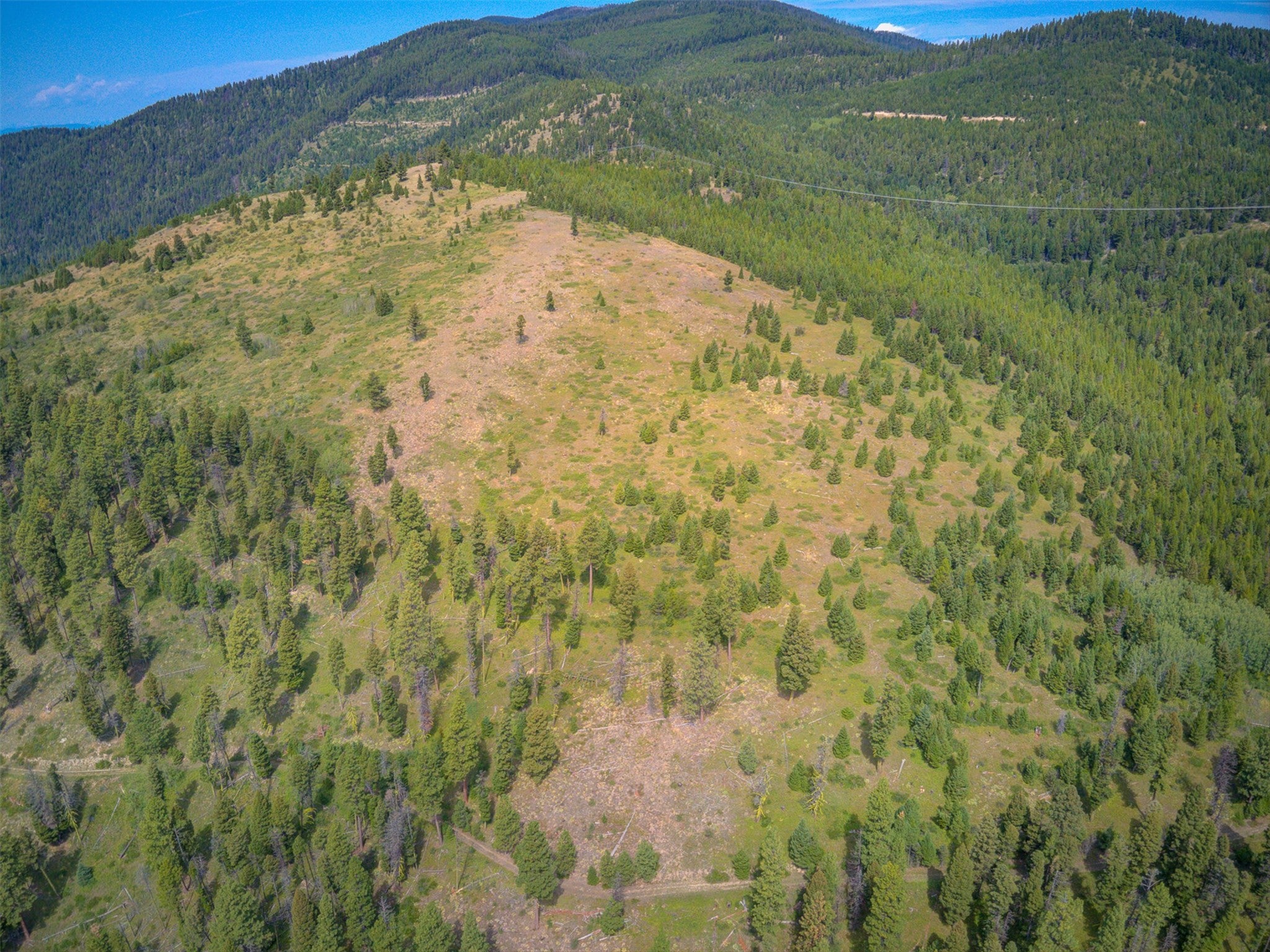 2 2 Bear Springs Road Lincoln, MT 59639 - Photo 30 of 55 Gallery Image 30