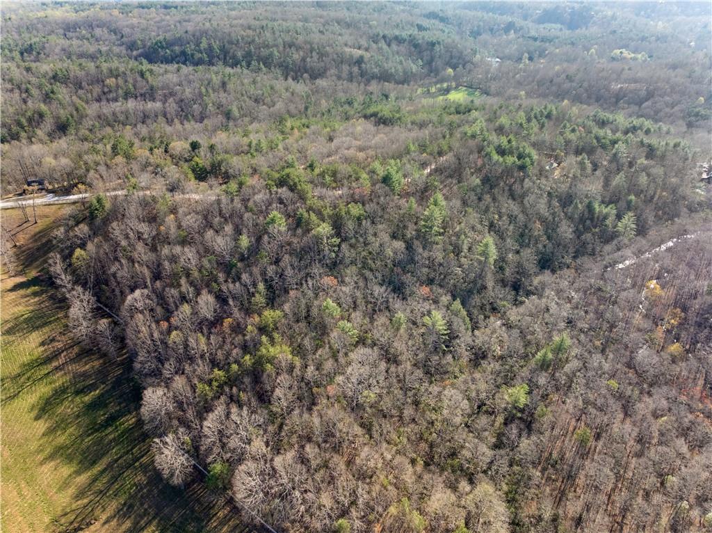 0 Mill Run Clarkesville, GA 30523 - Photo 11 of 12 a view of a dry yard with green space