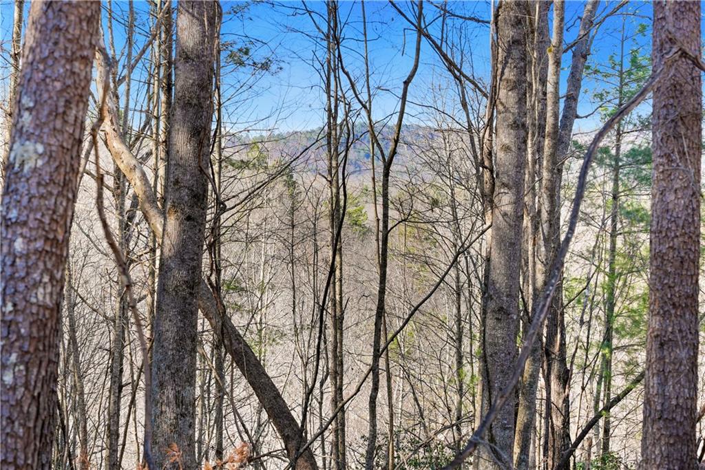 0 Mill Run Clarkesville, GA 30523 - Photo 4 of 12