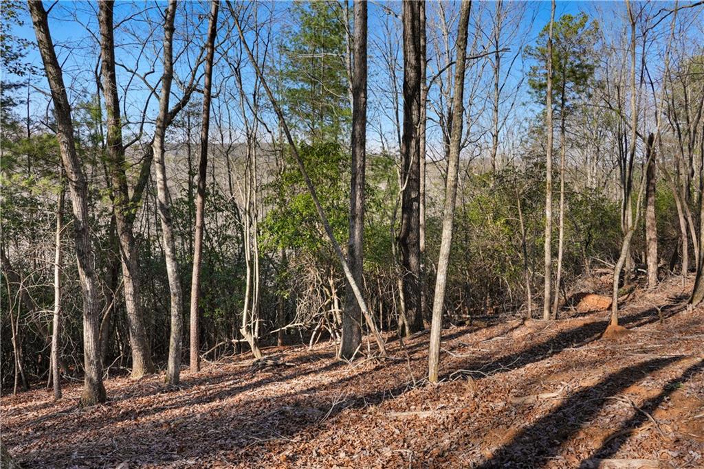 0 Mill Run Clarkesville, GA 30523 - Photo 6 of 12 a view of a backyard with large trees