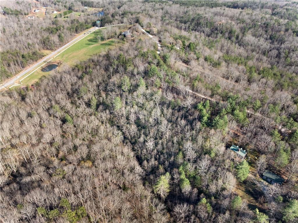 0 Mill Run Clarkesville, GA 30523 - Photo 9 of 12 a view of a forest with a street