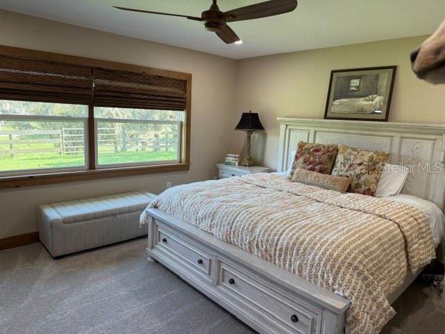 503 Bear Road Lake Placid, FL 33852 - Photo 21 of 29 a bedroom with a bed and a large window
