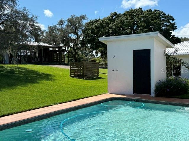 503 Bear Road Lake Placid, FL 33852 - Photo 28 of 29 a view of a backyard with potted plants and large trees