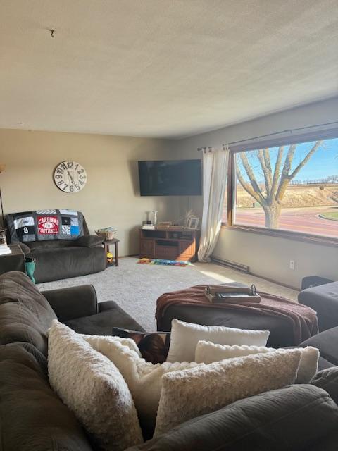 419 Normandale Road Redwood Falls, MN 56283 - Photo 9 of 26