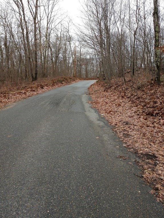 38 Reed Hill Road Wales, MA 01081 - Photo 3 of 4 Gallery Image 3