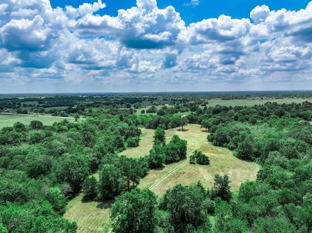a view of a big yard with lots of green space