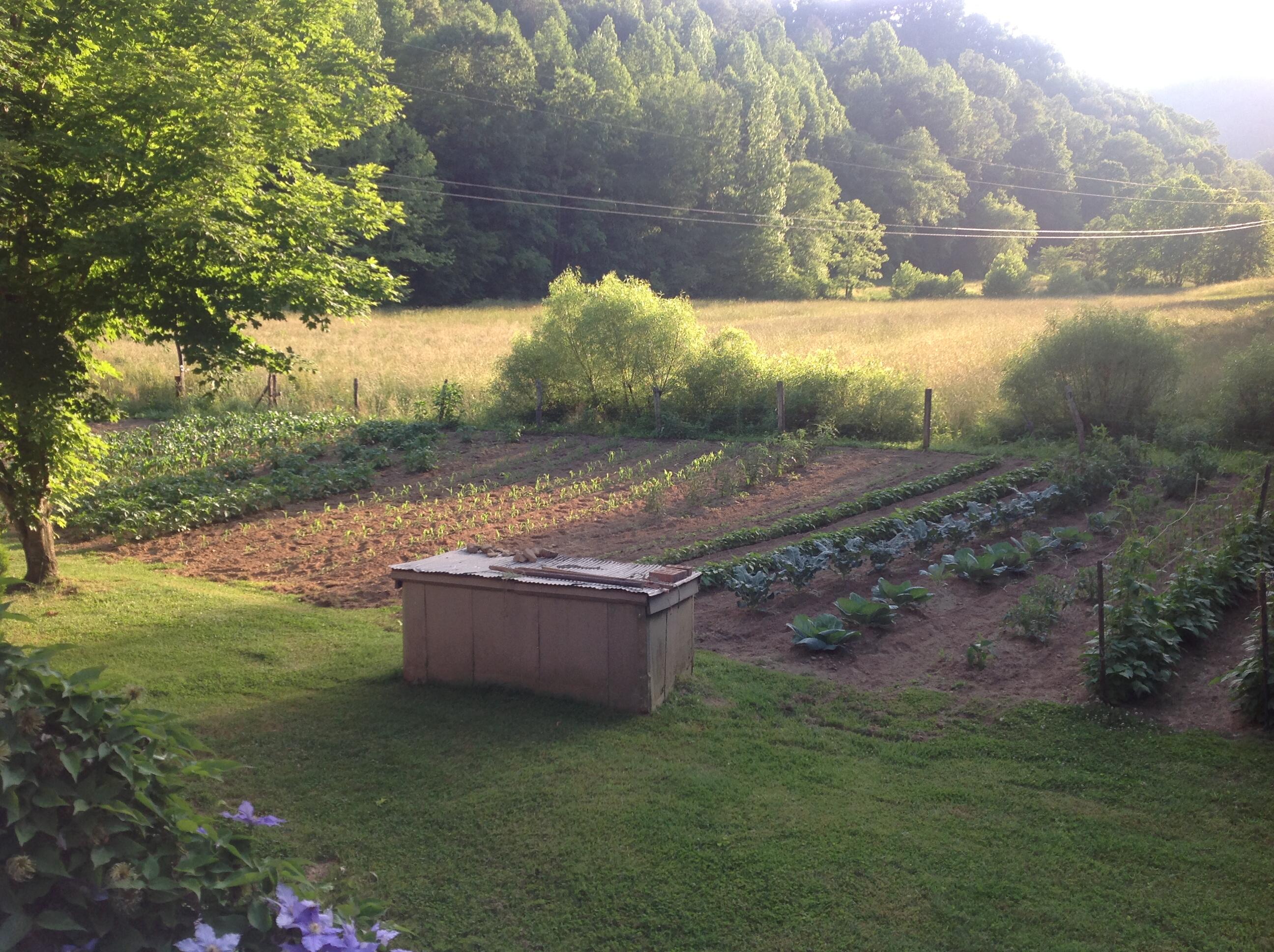 418 Sugar Camp Road Barbourville, KY 40906 - Photo 42 of 45 IMG_2178.JPG