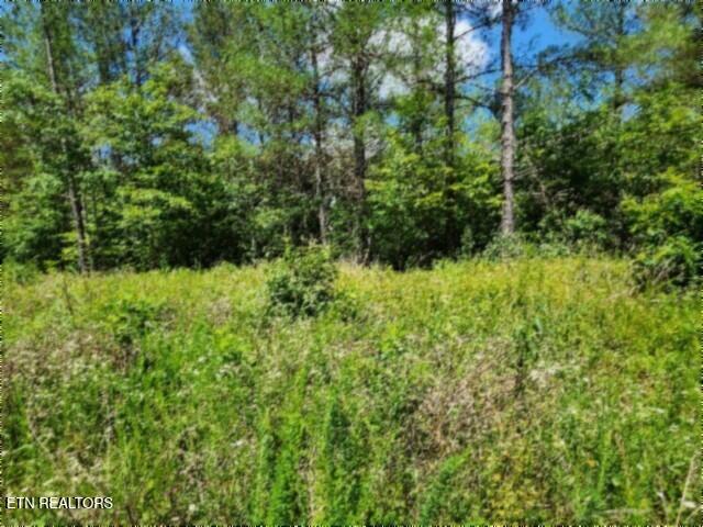 674 Rhodas Way Sunbright, TN 37872 - Photo 20 of 37 20260629_123914