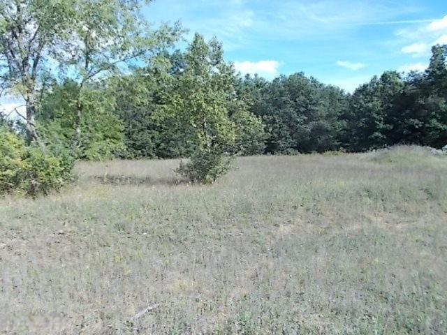 22075 Cutler Road Howard City, MI 49329 - Photo 36 of 40 22075 Cutler 054