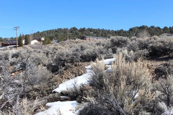 a view of a yard with a tree in the background