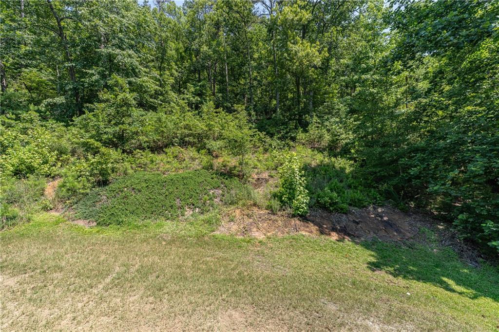 20 Pine Valley Road Rome, GA 30165 - Photo 47 of 58