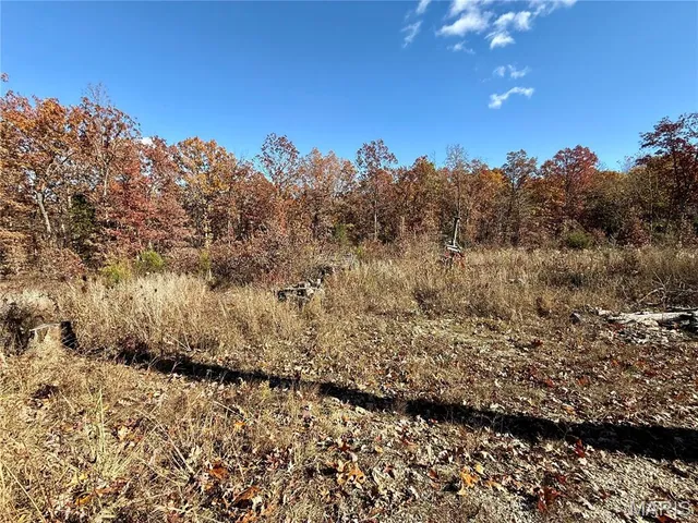 $69,900 | 10270 Skyline Drive, Cadet, MO 63630