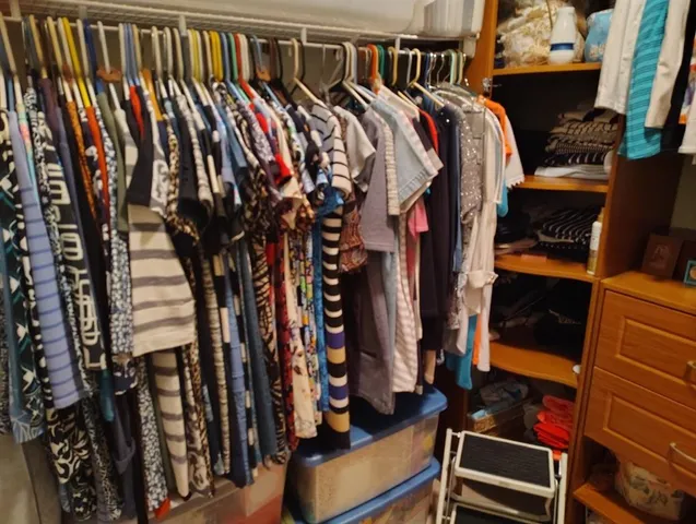 a living room with furniture a large window and a potted plant