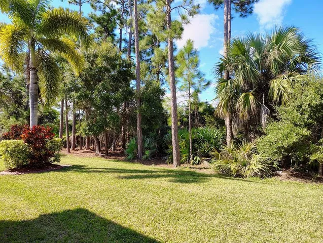 a view of a tree in front of a house