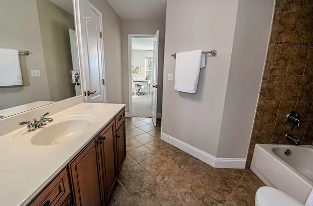 a view of a park with large trees