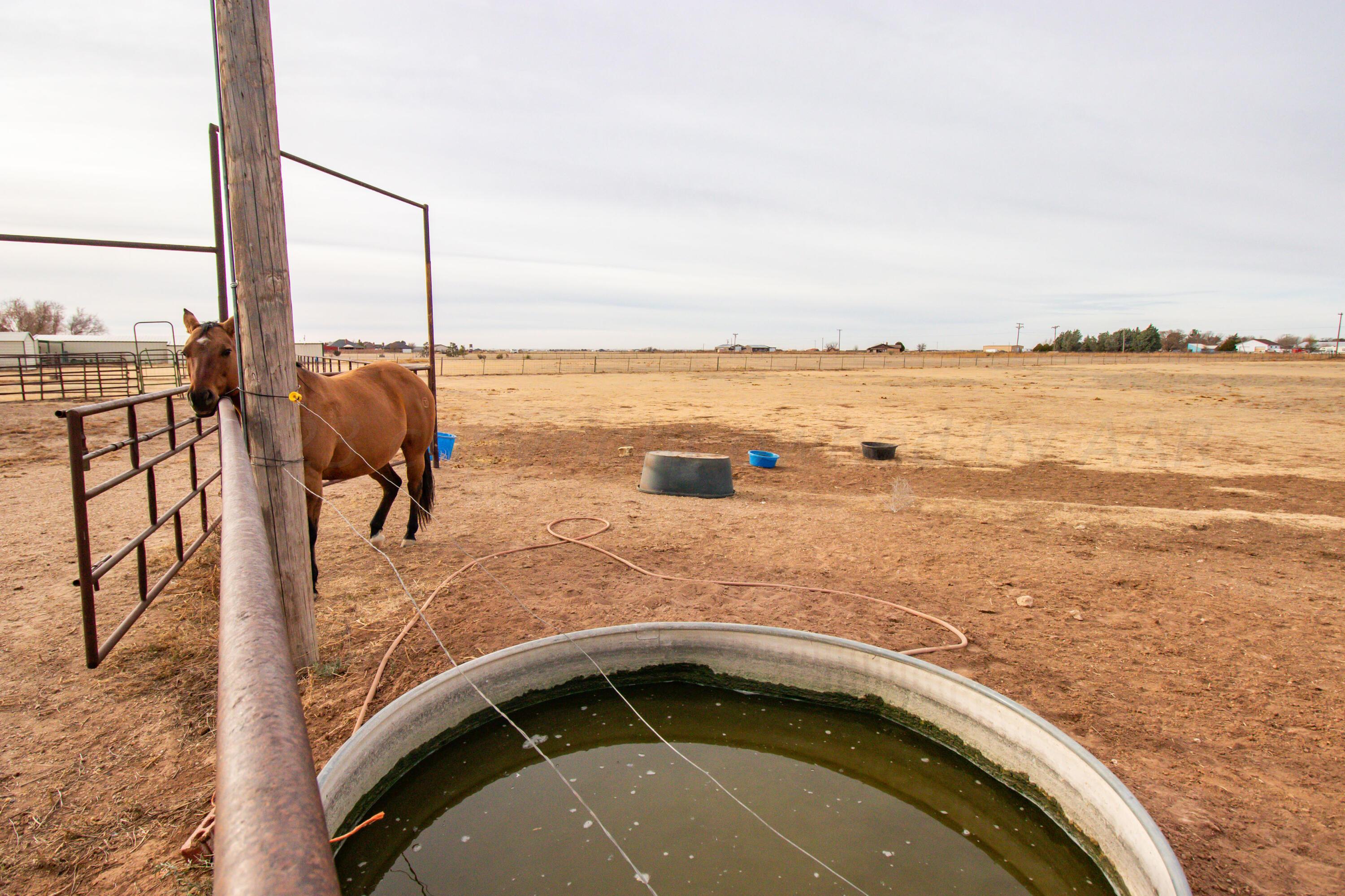15212 Halsey Trail Amarillo, TX 79118 - Photo 43 of 47 a view of a swimming pool with a lake view