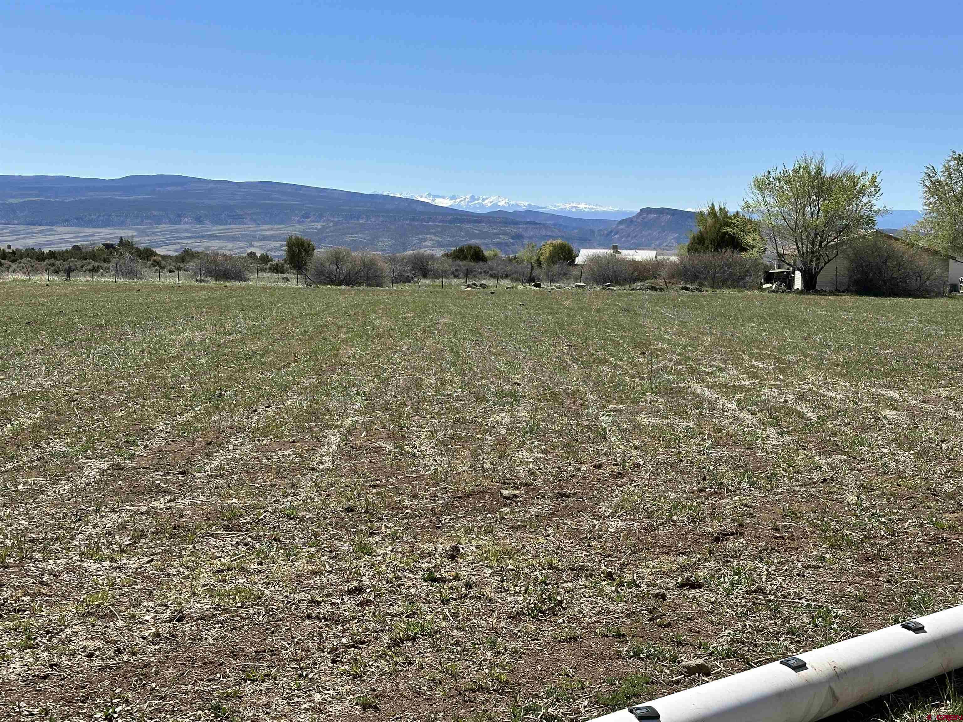 12880 2900th Road Hotchkiss, CO 81419 - Photo 4 of 22 a view of an outdoor space and a yard