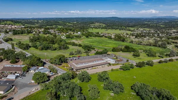 a view of a city with lush green forest