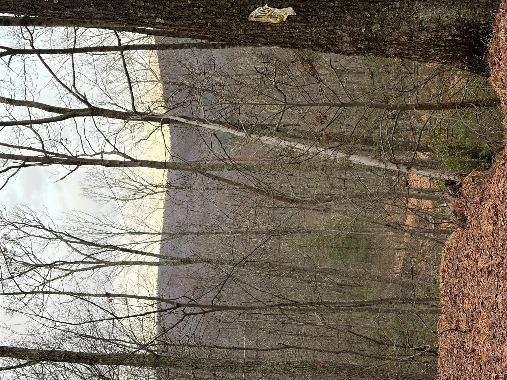 Allen Road Wurtsboro, NY 12790 - Photo 11 of 18