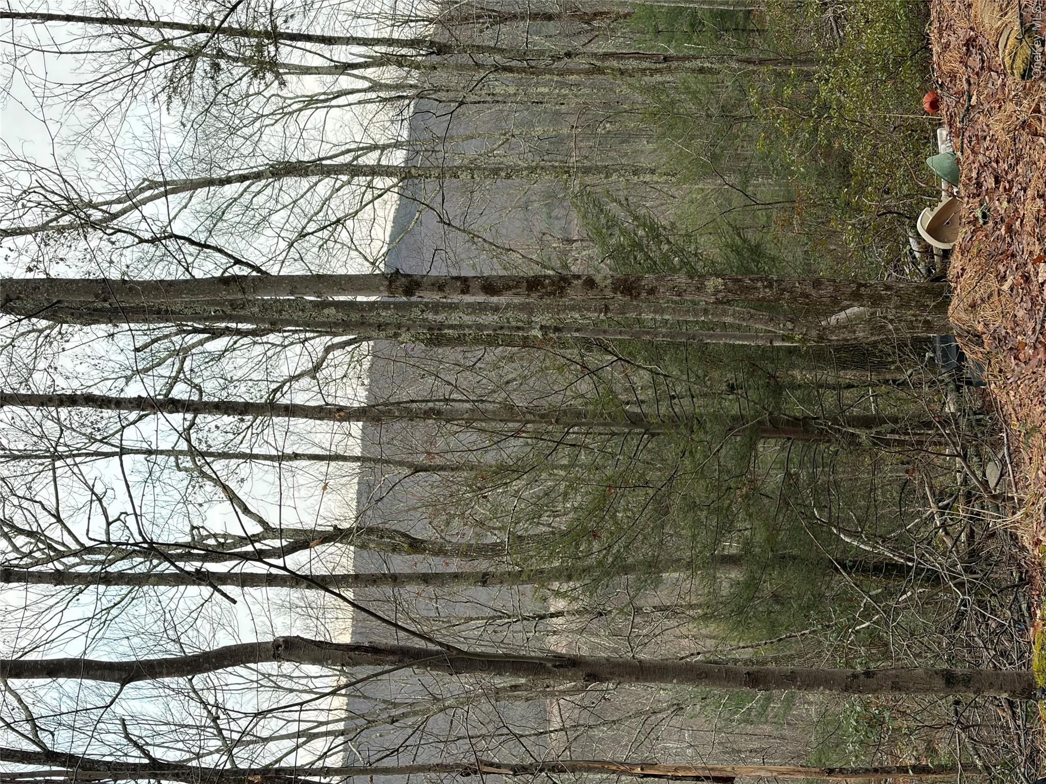Allen Road Wurtsboro, NY 12790 - Photo 12 of 18