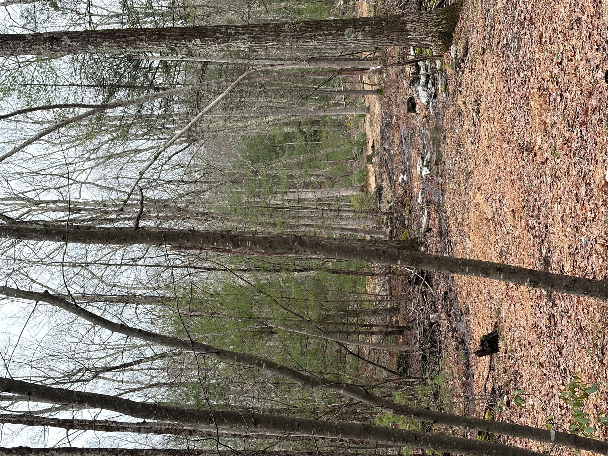 Allen Road Wurtsboro, NY 12790 - Photo 13 of 18
