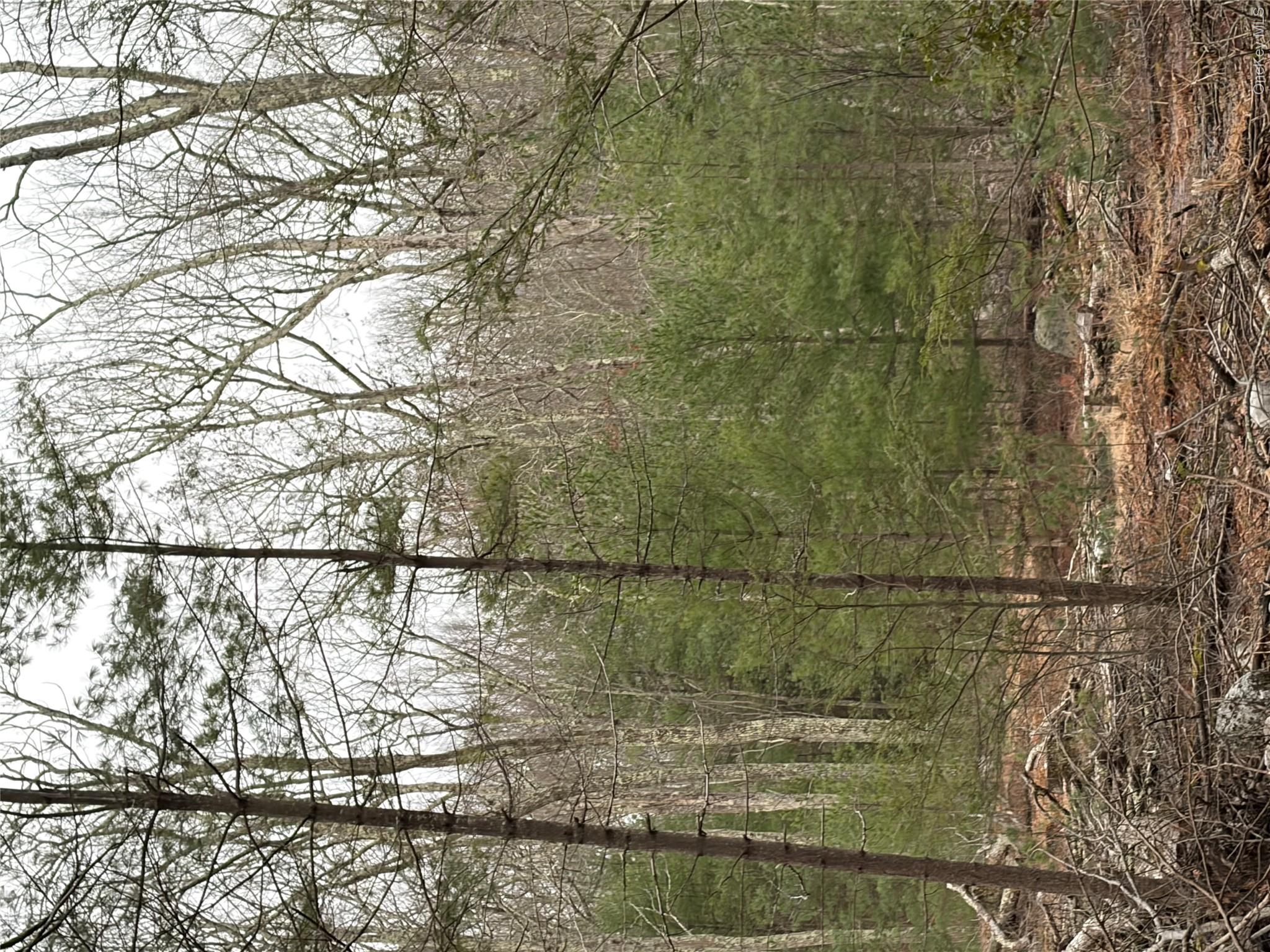 Allen Road Wurtsboro, NY 12790 - Photo 14 of 18